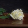 “White Rose”