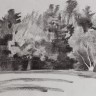 “A Forest Edge”