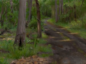 A Forest Path