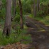 “A Forest Path”