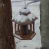 “Birdfeeder in Winter”
