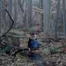 “By the Spring”