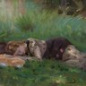 “Catnap”