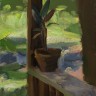 “My Favorite Plant”