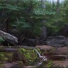 “In Kaaterskill Clove”