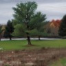 “View at Lake Nockamixon”