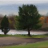 “Two Trees at Lake Nockamixon”