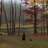 “November Evening”