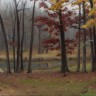 “November Landscape”