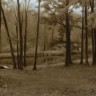 “November Landscape Grisaille”