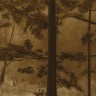 “November Tree Study”