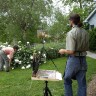 Painting “Peonies”