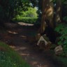 “Remembering the Way”