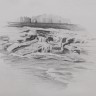 “River Waterfalls”