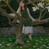 “Spring Under the Magnolia”