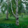 “Vestal Birches”